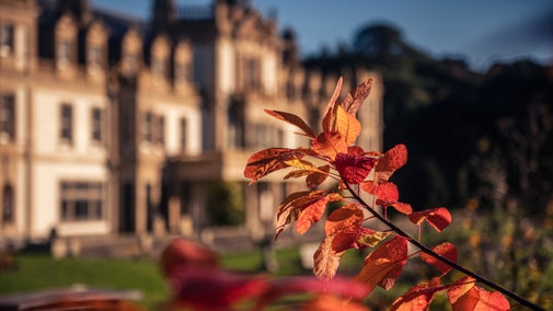 House exterior in the autumn, amber-coloured leaves are in the foreground and Dyffryn House is in the background.